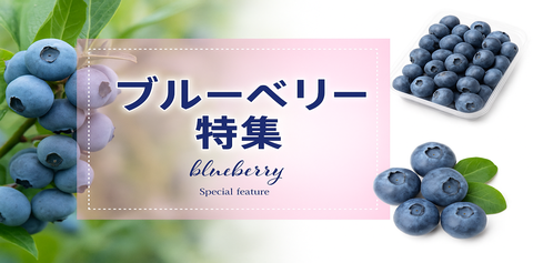 ブルーベリー特集*メーカー別売れ筋商品のみ掲載