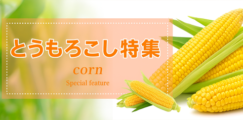 とうもろこし特集