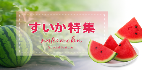 スイカ特集*メーカー別売れ筋商品のみ掲載