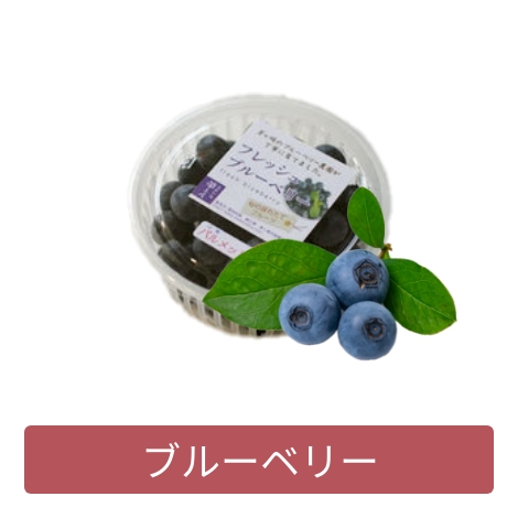 ブルーベリー