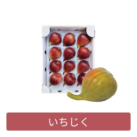 いちじく