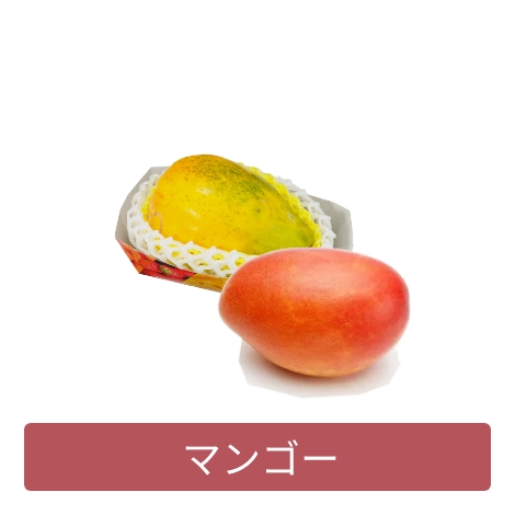 マンゴー