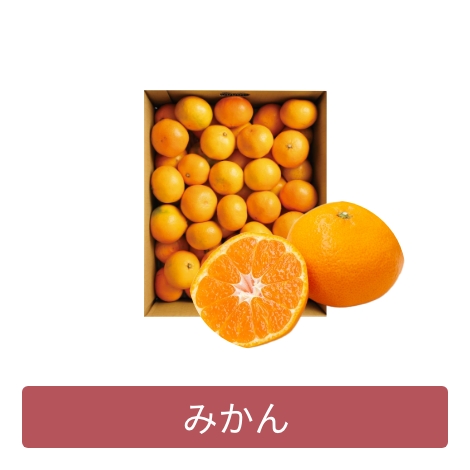 みかん