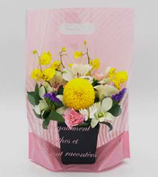 クイックギフトＳピンク