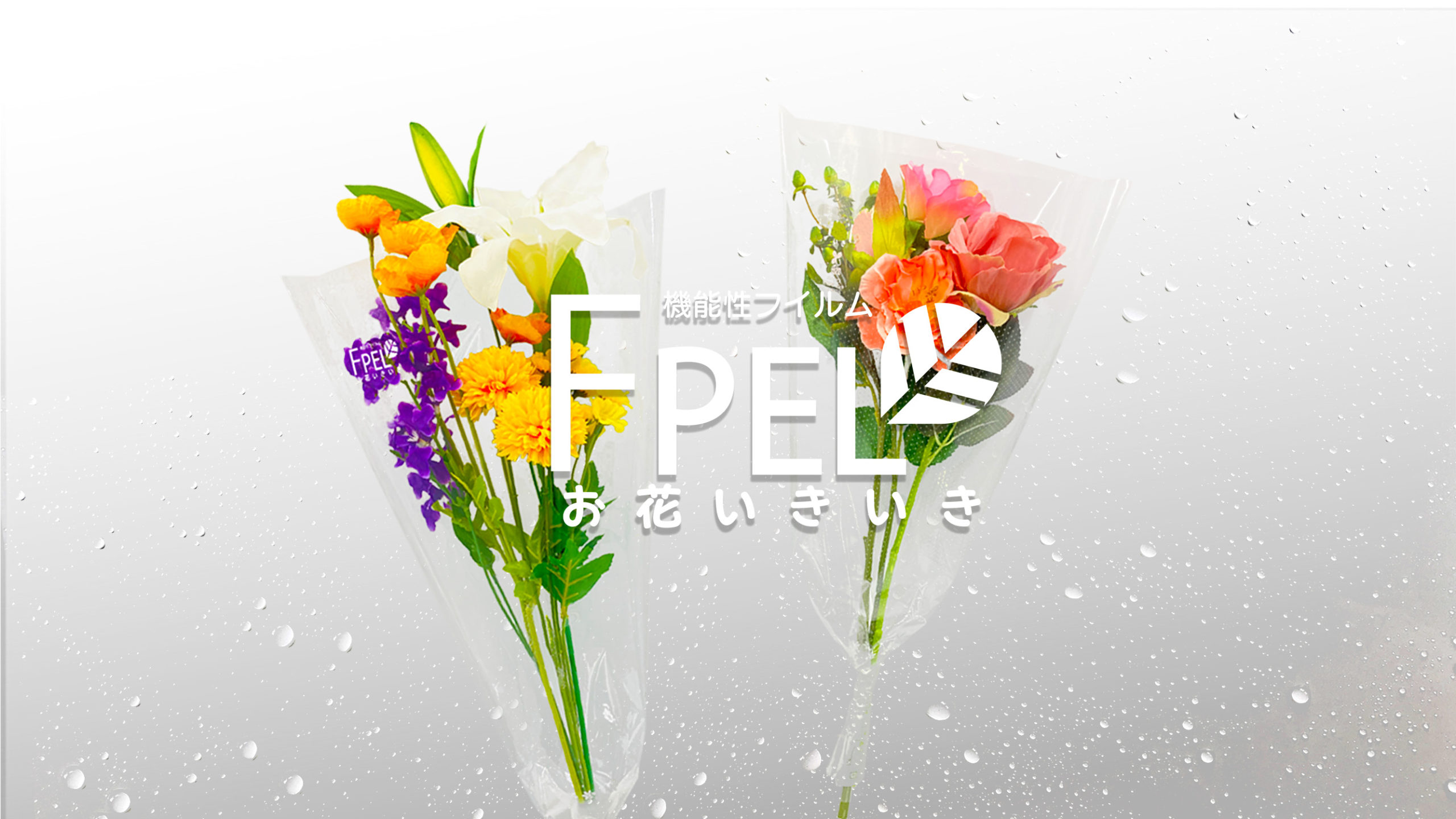 FPEL40-04有孔　40#350/60X500+50BU