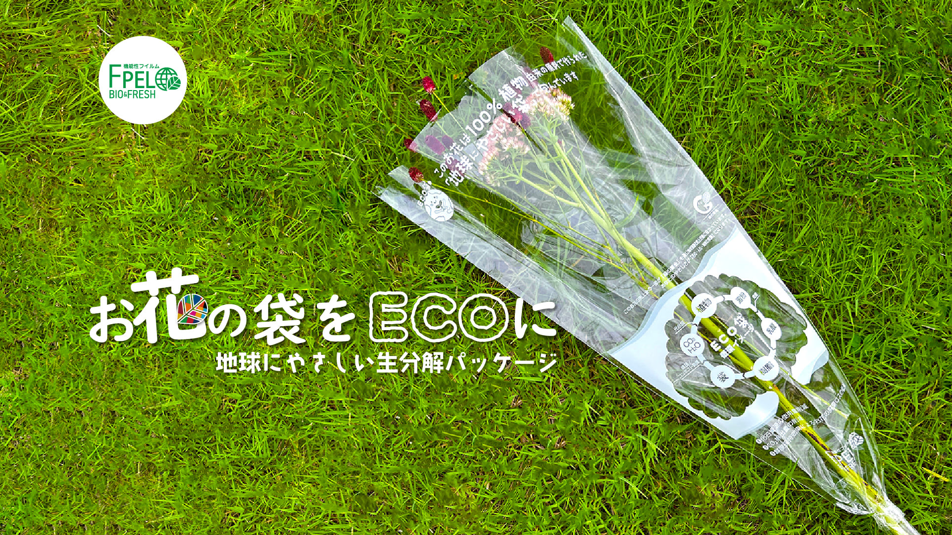 規）Ｆ）ＢＩＯ&ＦＲＥＳＨ３００