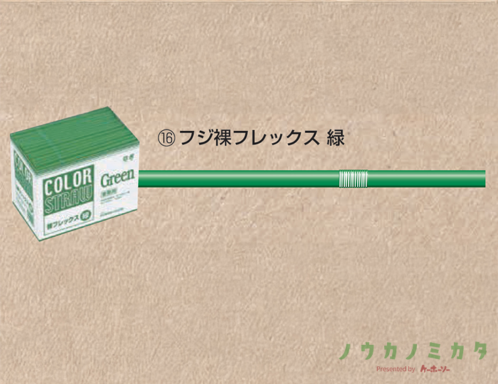 フジ裸フレックス 緑