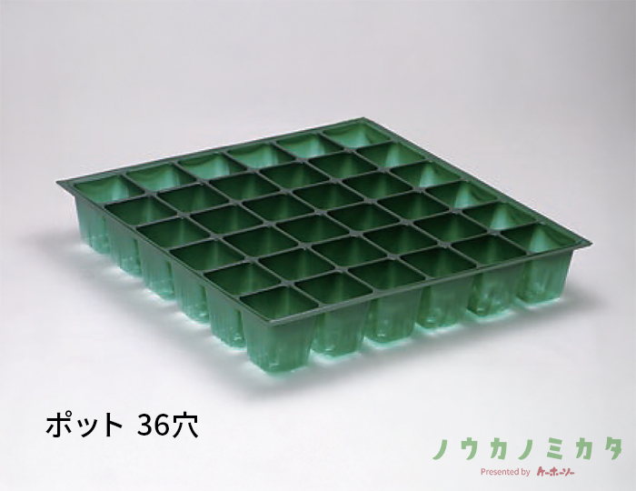 ポット 36穴