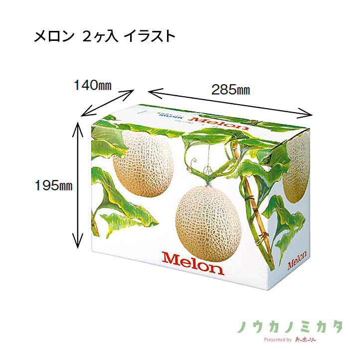 紙器 メロン 2ヶ入 イラスト AA0151 288×143×198