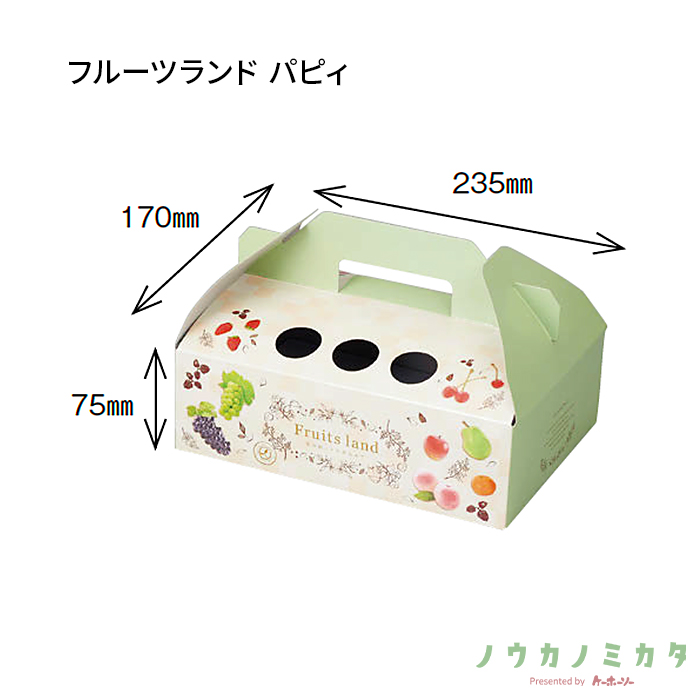 紙器 フルーツランド パピィ AA0316 238×173×100