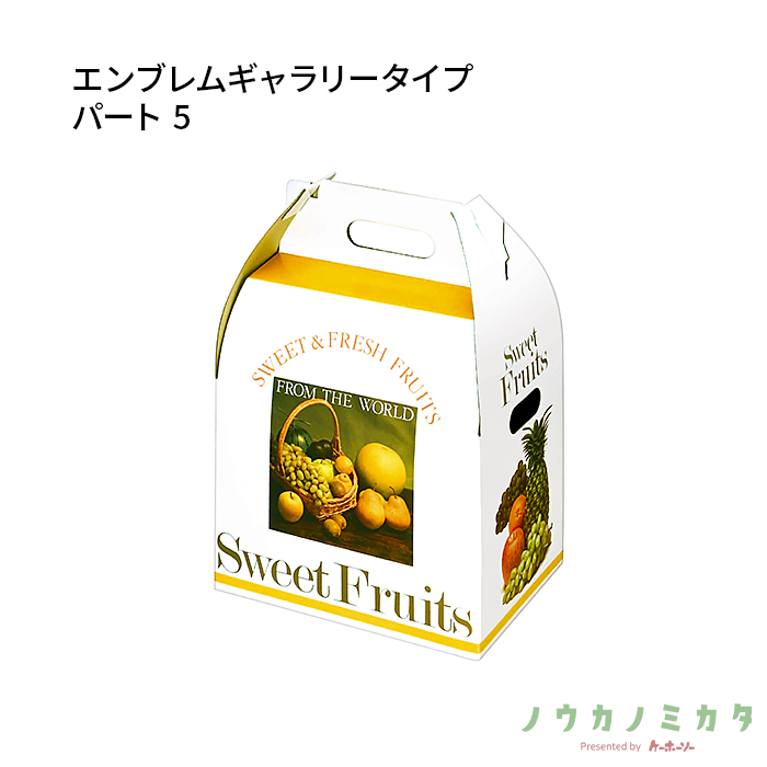 紙器 エンブレムギャラリータイプ パート5 AA0369 335×195×380