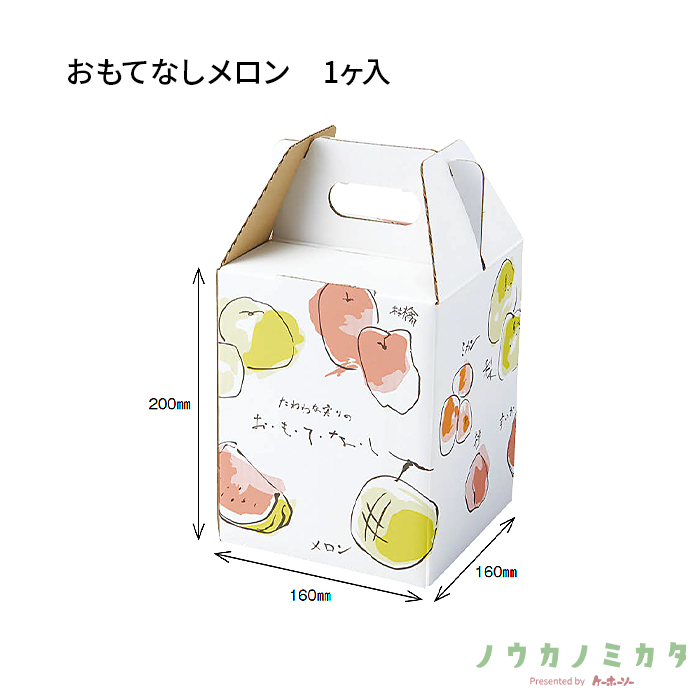 紙器 おもてなしメロン 1ヶ入 AA1341 165×165×280