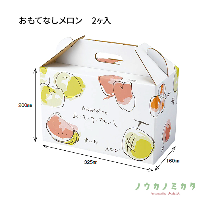 紙器 おもてなしメロン 2ヶ入 AA1342 330×165×280