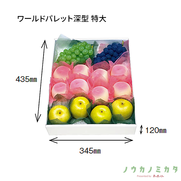 紙器 ワールドパレット深型 特大 AA1505 465×375×125