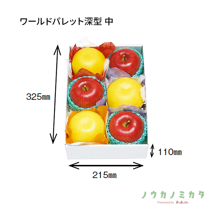 紙器 ワールドパレット深型 中 AA1525 355×245×115