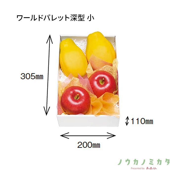 紙器 ワールドパレット深型 小 AA1533 335×230×115