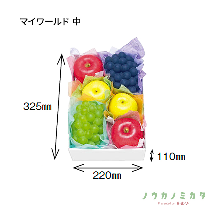 紙器 マイワールド 中 AA1560 355×250×115