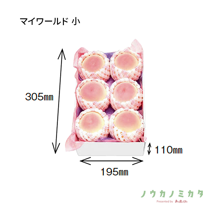 紙器 マイワールド 小 AA1570 335×225×115