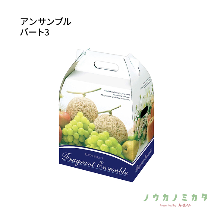 紙器 アンサンブル パート3 AA3712 270×185×380