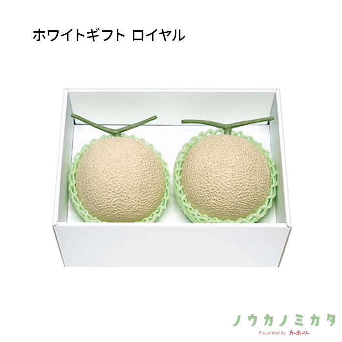 紙器 ホワイトギフト ロイヤル AA5185 355×255×155