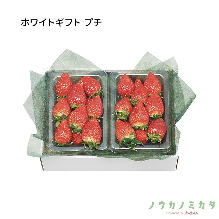 紙器 ホワイトギフト プチ AA5214 260×180×80