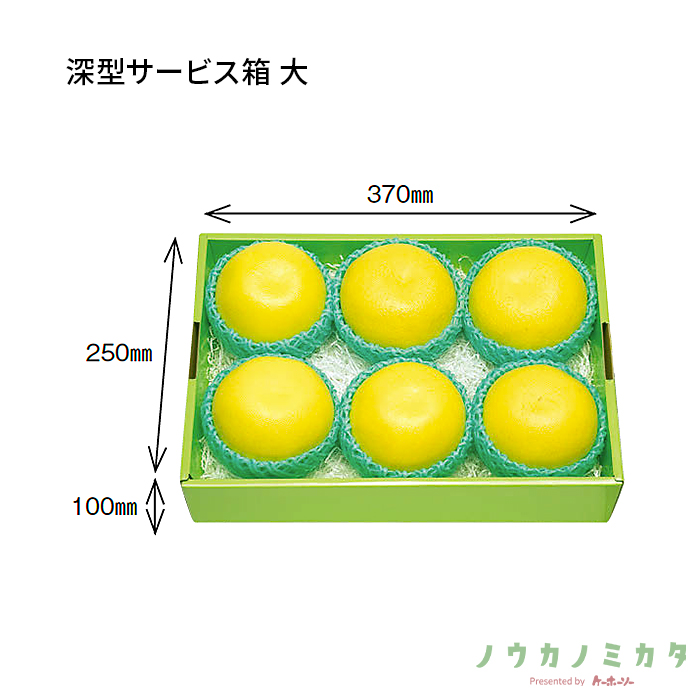紙器 深型サービス箱 大 AA5270 390×270×105
