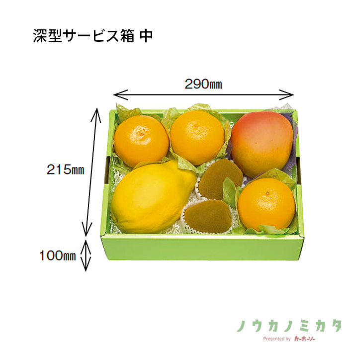 紙器 深型サービス箱 中 AA5271 310×235×105