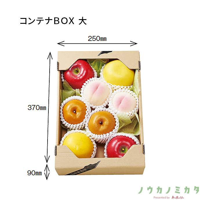 紙器 コンテナBOX 大 AA5276 390×270×95