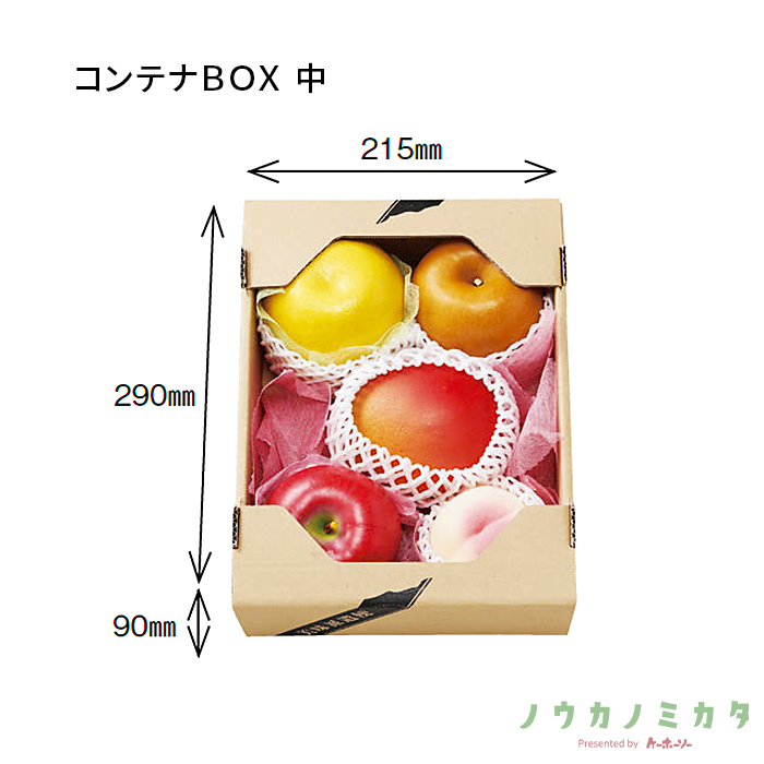 紙器 コンテナBOX 中 AA5277 310×235×95