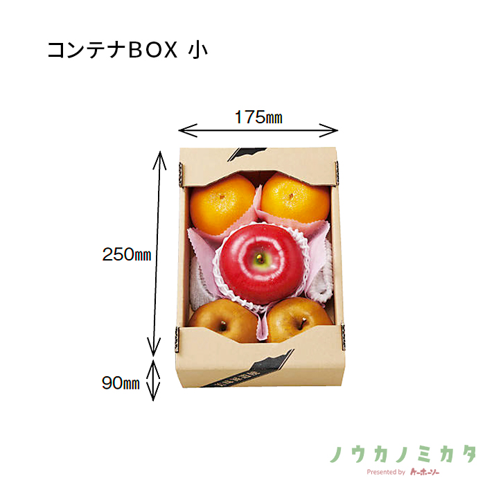 紙器 コンテナBOX 小 AA5278 270×195×95