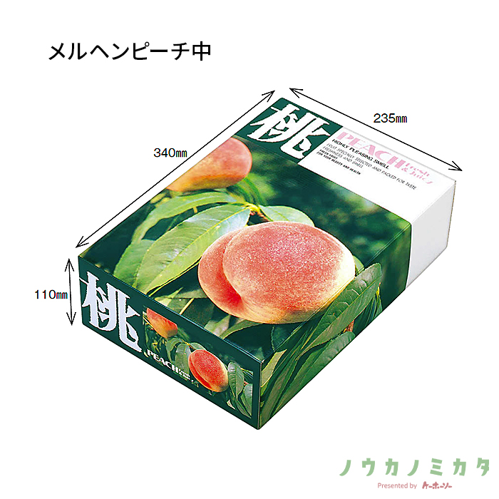 紙器 メルヘンピーチ 中 AA5313 360×255×120