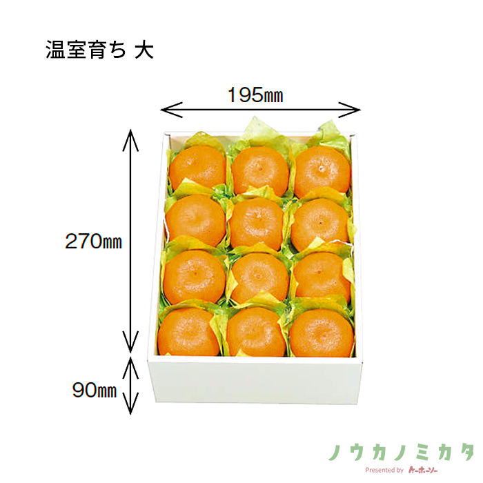 紙器 温室育ち 大 AA5540 300×225×95