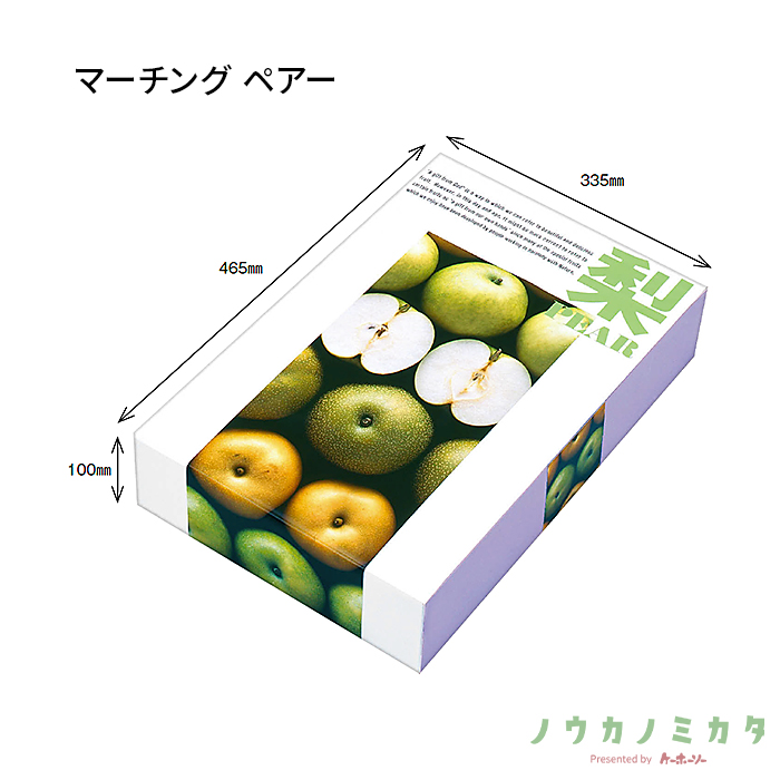紙器 マーチング ペアー AA5550 495×365×105