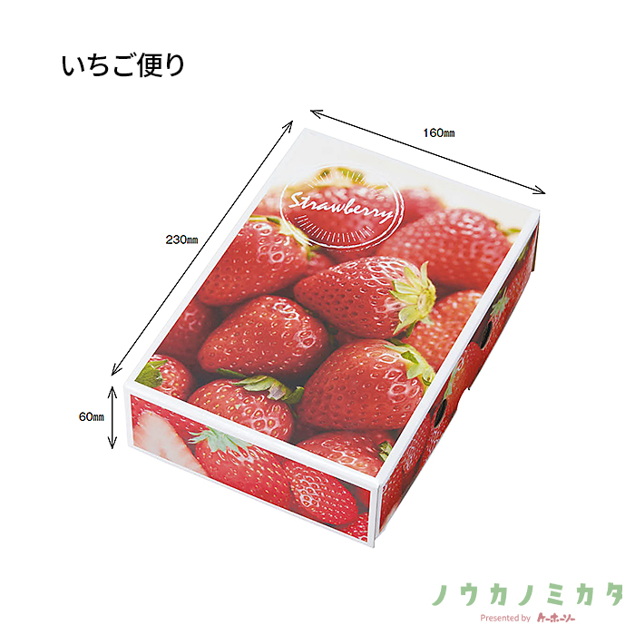 紙器 いちご便り AA5740 260×180×65