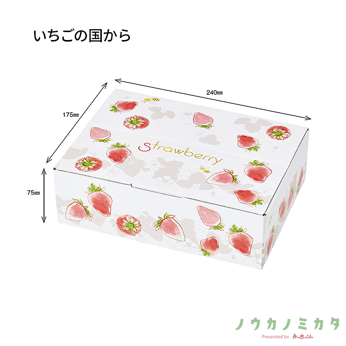 紙器 いちごの国から AA5750 250×180×80㎜