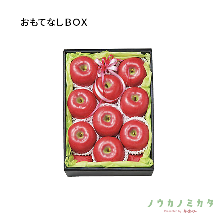 紙器 おもてなしBOX AA5921 400×290×110