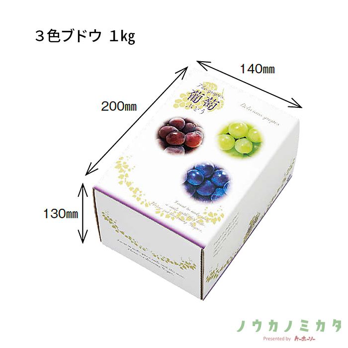 紙器 3色ブドウ 1㎏ AA6753 220×160×135