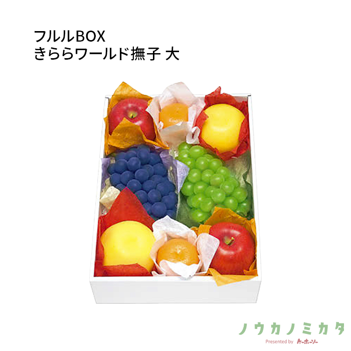 紙器 フルルBOXきららワールド撫子 大 AA7116 410×300×110