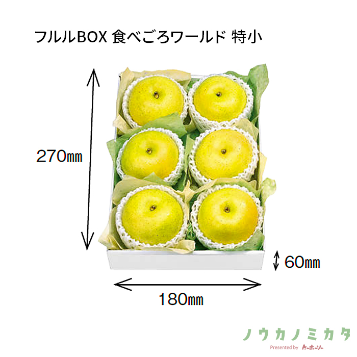 紙器 フルルBOX 食べごろワールド 特小 AA7124 300×210×110