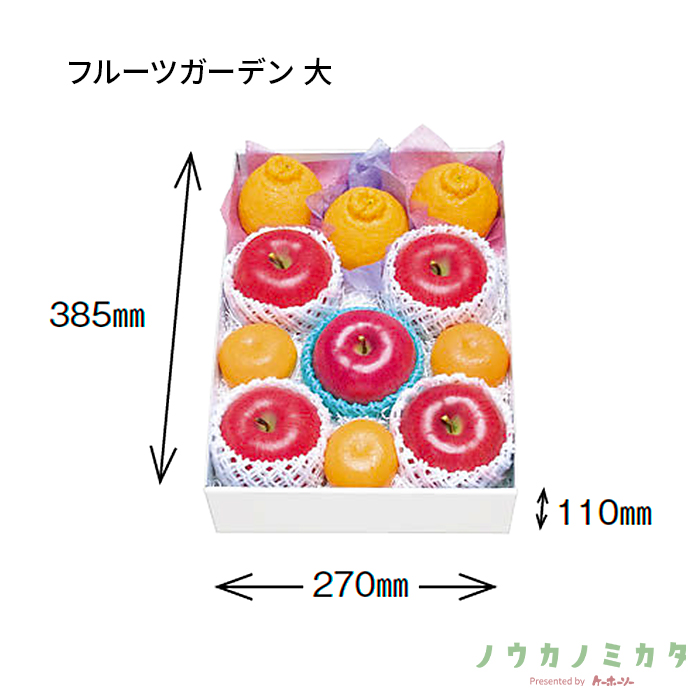 紙器 フルーツガーデン 大 AA7161 415×300×115
