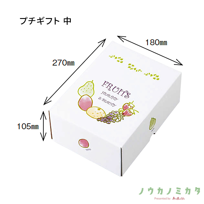 紙器 プチギフト 中 AA7173 290×200×110