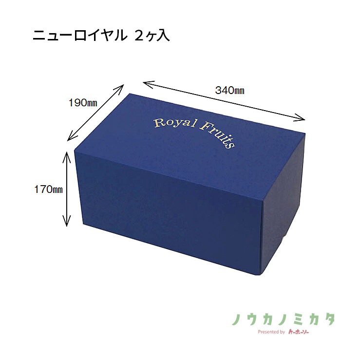 紙器 ニューロイヤル 2ヶ入 AA7212 365×215×175