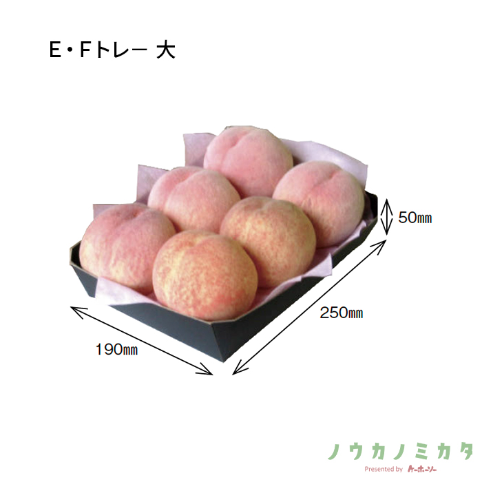 紙器 Ｅ・Ｆトレ－大 AZ0110 250×190×50