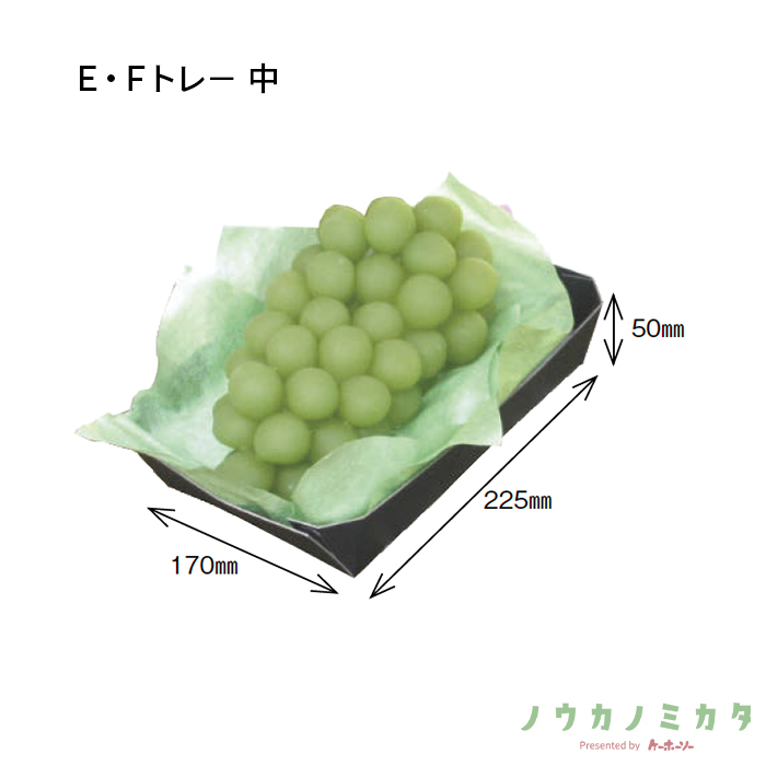紙器 Ｅ・Ｆトレ－中 AZ0120 225×170×50