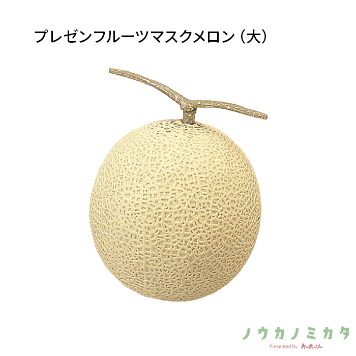 紙器 プレゼンフルーツマスクメロン(大) NA0335 140×140