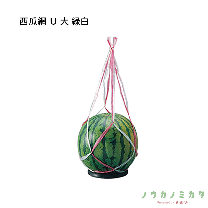 紙器 西瓜網 Ｕ 大 緑白 QA2040 650mm