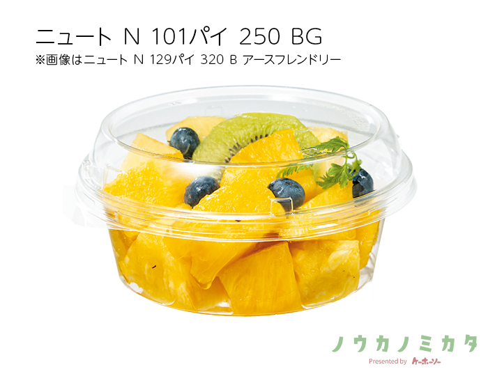 ニュート N 101パイ 250 BG