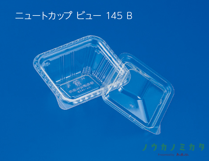 ニュートカップ ビュー 145 B