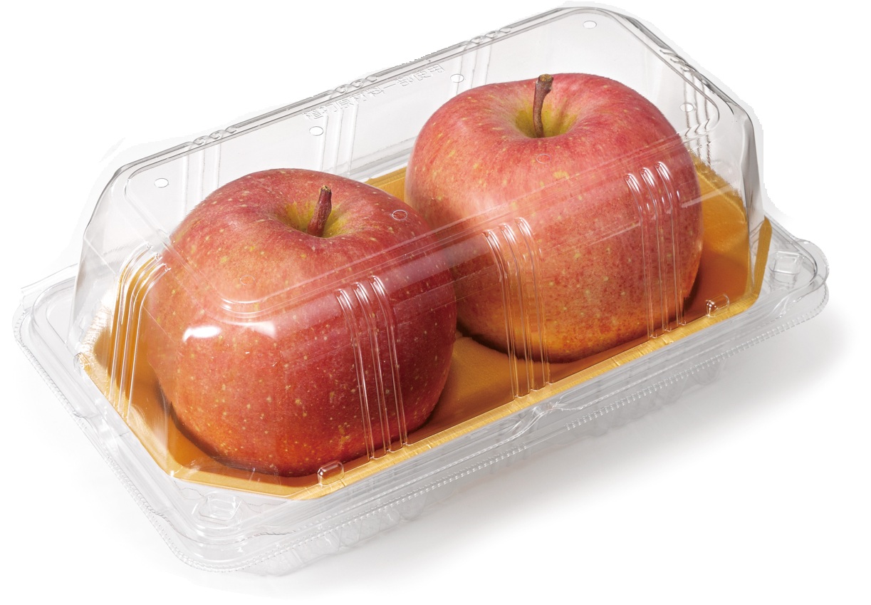 バイオ　タッチパック　２３－１４（９５）