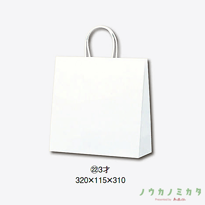 HEIKO 紙袋 25チャームバッグ丸紐 3才 白無地　カフェ資材